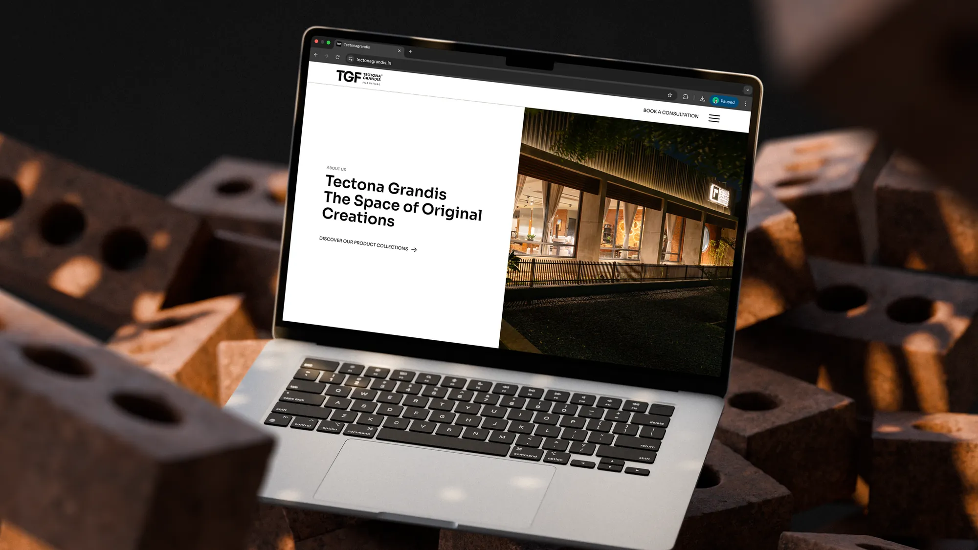 Tectona Grandis — website showcase